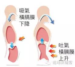 健身不会腹式呼吸，对运动有影响吗？