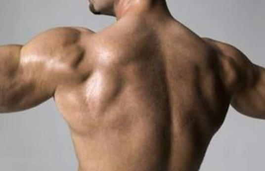 背部曲线的肌肉运动法