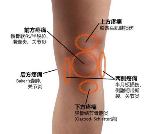 4种有益于膝盖的有氧运动