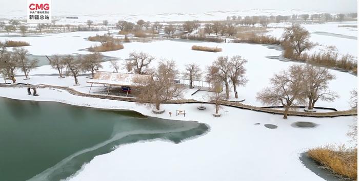 新疆巴州尉犁县境内的塔克拉玛干沙漠出现降雪天气，连绵不绝的沙丘披上银装。图片来源：央视新闻截图