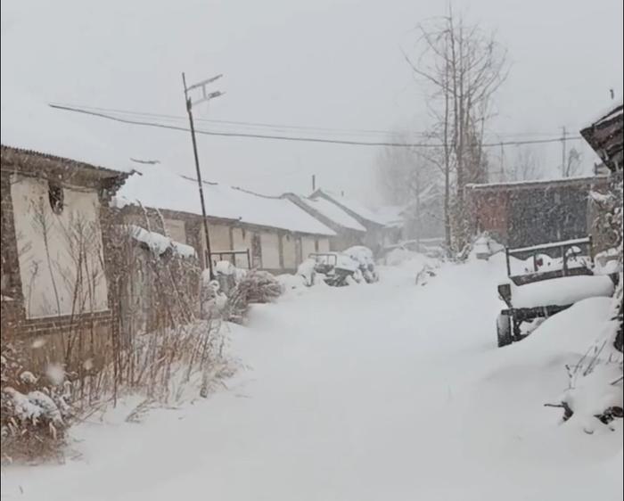 12月21日，“雪窝”烟台冷流雪还在继续。