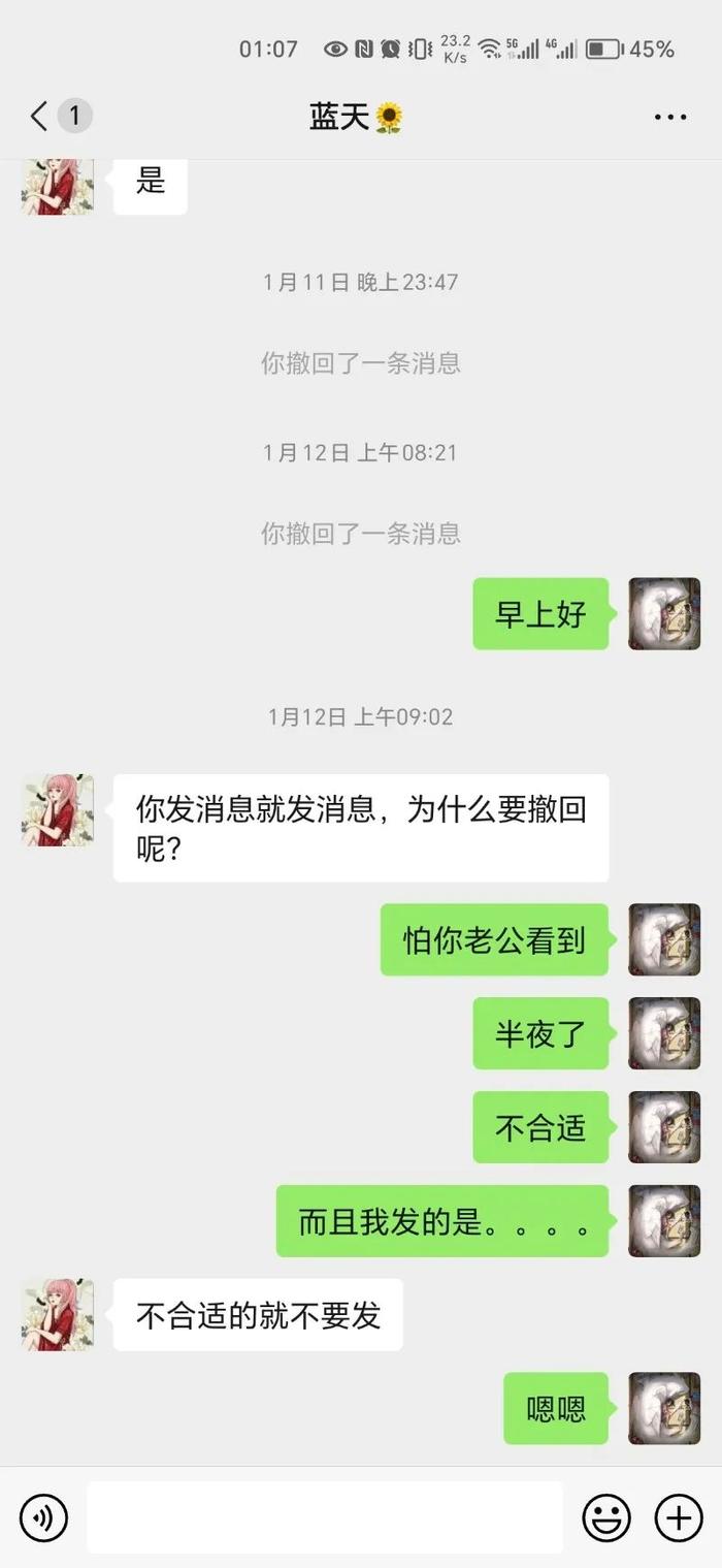 网传杨某出轨聊天记录。