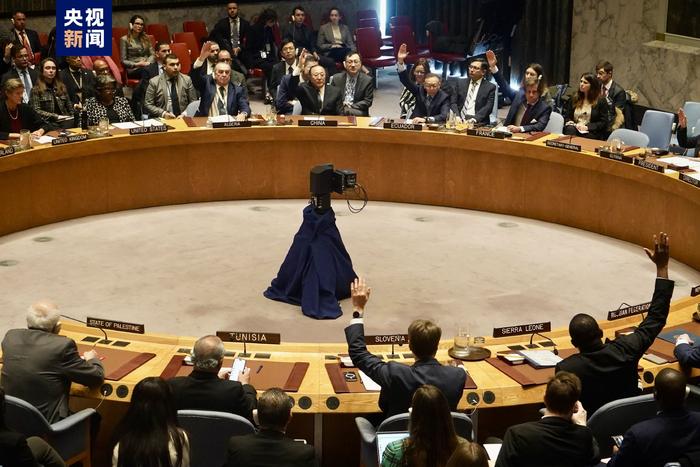 联合国安理会加沙决议再遭美国一票否决